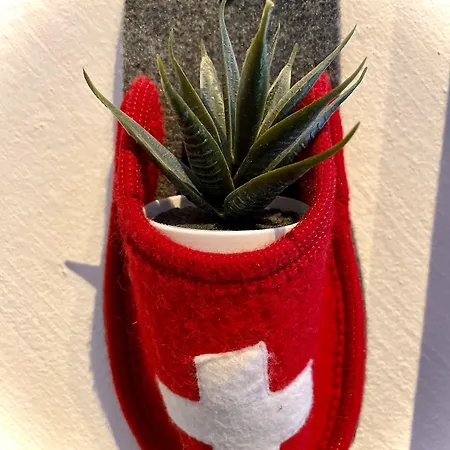 Hotelchur.ch 호텔 3*