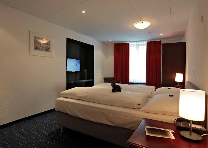 Hotelchur.ch Otel 3*